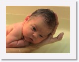 DSC00831 * My very first bath ever... * 1152 x 864 * (437KB)