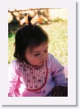 photos3 * 1376 x 2048 * (377KB)