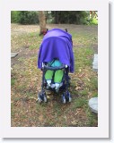 DSC00389-TassieUndercover * 864 x 1152 * (534KB)